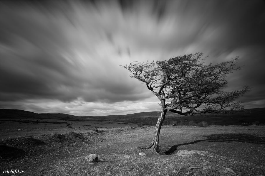 ÖLMEYE YÜZÜ OLMAK